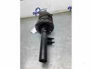 Federbein rechts vorne Mercedes-Benz B-Klasse Sports Tourer W247 A1773207401