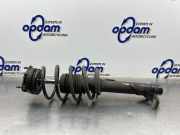Federbein links vorne Ford Fiesta V JH, JD 2S6118146AD
