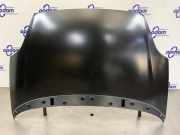 Motorhaube Fiat Punto Evo 199 0051701140