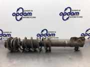 Federbein links vorne Subaru Justy IV