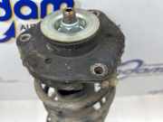 Federbein rechts vorne Skoda Fabia II 542 6Q0413031BJ