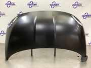 Motorhaube Fiat 500e 332 0052137631