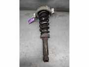 Federbein rechts hinten Porsche Cayenne 1 9PA 7L5512021