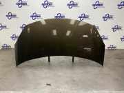 Motorhaube Citroen DS3 Cabriolet 7901R1