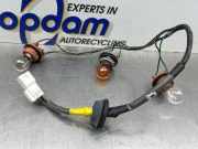 Rückleuchte Leiterplatte Kia Picanto 1 SA 9241907510