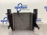 Ladeluftkühler Renault Modus - Grand Modus P 8200471885