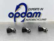 Einspritzdüse Fiat Panda 169 IWP095