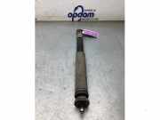 Stoßdämpfer rechts hinten Suzuki Ignis III MF 4181062R60