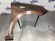 Kotflügel rechts vorne Hyundai i10 IA 66321B9010