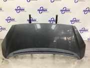 Motorhaube Peugeot 1007 7901Q5
