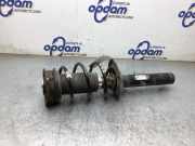 Federbein links vorne Audi A3 Sportback 8Y 5WA413031
