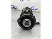 Federbein links vorne Skoda Scala NW1 2Q0413031DC