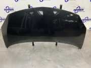 Motorhaube Renault Twingo II CN0 651003355R