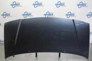 Motorhaube Fiat Scudo Kasten 220