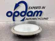 Innenleuchte Smart Forfour 454 MN108916