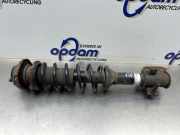 Federbein rechts vorne Suzuki Ignis FH 4160180G60