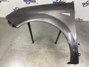 Kotflügel links vorne Renault Scenic II JM 7701474852