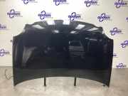 Motorhaube VW Polo IV 9N, 9A 6QE823031B