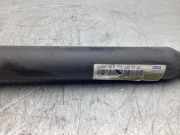 Stoßdämpfer links hinten Mercedes-Benz C-Klasse Cabriolet A205 A2053203230