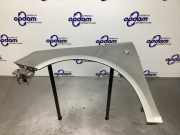 Kotflügel links vorne Skoda Fabia II 542 5J0821021A