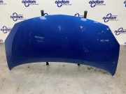 Motorhaube Renault Twingo II CN0 651003355R