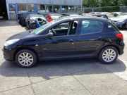 Tür links hinten Peugeot 206+ T3E 22354