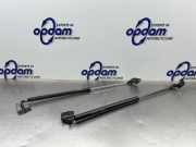 Heckklappendämpfer Suzuki Alto VI FF 81860M76G00