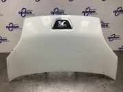 Motorhaube Peugeot Bipper 7901Q0