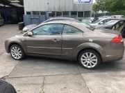 Kotflügel links vorne Ford Focus II Cabriolet DB3 1376484