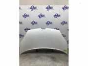 Motorhaube Renault Kangoo II Rapid FW0