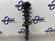 Federbein rechts vorne VW Passat B6 3C2 3C0413031AT