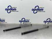 Heckklappendämpfer Dacia Sandero II SD 904529943R