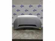 Motorhaube VW Crafter 30-50 Kasten 2E