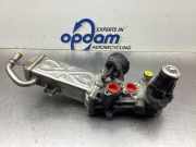 AGR-Ventil VW Polo V 6R, 6C 0280751016