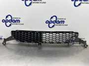 Lüftungsgitter für Stoßfänger Toyota Aygo B1 531120H040