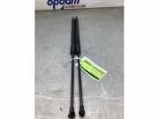 Sensor für Gaspedalstellung Renault Scenic IV J9 180027890R