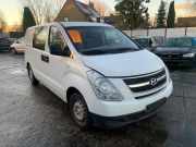 Tür rechts Hyundai H-1 Cargo TQ 760044H020