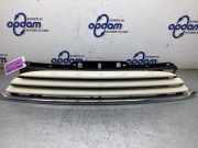 Kühlergrill Mini Mini R56 16614910