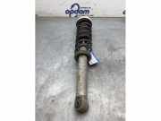 Federbein links hinten BMW 5er E60 10541315