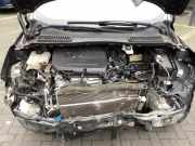 Motor ohne Anbauteile (Benzin) Ford Kuga II DM2