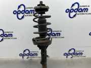 Federbein links vorne Citroen C3 FC 1635533380