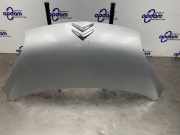Motorhaube Citroen C1 1611149480