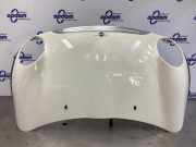 Motorhaube Mini Mini R50, R53 41617067753