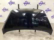 Motorhaube Kia Picanto 2 TA 664001Y010