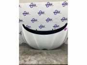 Motorhaube Renault Scenic IV J9 651004703R