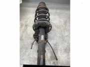 Federbein links vorne Skoda Fabia II 542 6Q0413031BJ