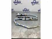 Airbag Dach links Toyota Prius Liftback W2