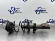 Federbein links vorne Renault Clio III BR0/1, CR0/1 8200452698