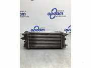 Ladeluftkühler Ford Fiesta VI CB1, CCN AV219L440AB