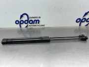 Heckklappendämpfer Kia Picanto 3 JA 81780G6010